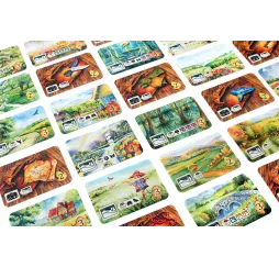 Rebel Gra Łąka Meadow – planszowa przygoda rodzinna 10+