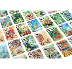 Rebel Gra Łąka Meadow – planszowa przygoda rodzinna 10+