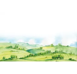 Rebel Gra Łąka Meadow – planszowa przygoda rodzinna 10+