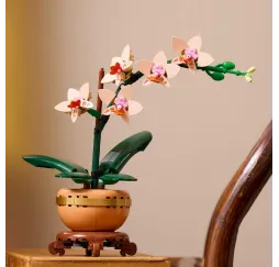 LEGO Botanicals Mała orchidea – klocki konstrukcyjne dla dorosłych