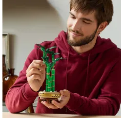 LEGO Botanicals Dracena sandera – klocki konstrukcyjne dla dorosłych