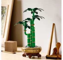 LEGO Botanicals Dracena sandera – klocki konstrukcyjne dla dorosłych