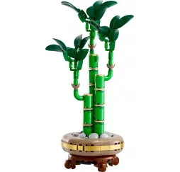LEGO Botanicals Dracena sandera – klocki konstrukcyjne dla dorosłych