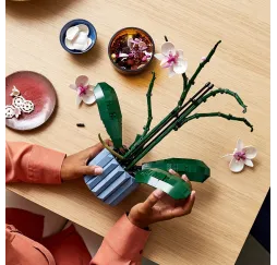 LEGO Klocki Icons Orchidea – dekoracyjne klocki konstrukcyjne