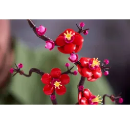 LEGO Icons Kwiat śliwy – klocki konstrukcyjne dla dorosłych