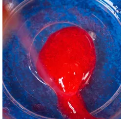 Crazy Science Slime w ciemności – zestaw naukowy Lisciani