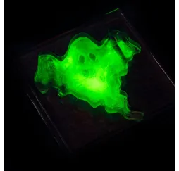 Crazy Science Slime w ciemności – zestaw naukowy Lisciani