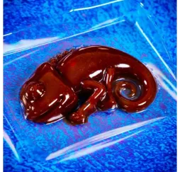 Lisciani Crazy Science Slime Kameleon – zestaw naukowy dla dzieci