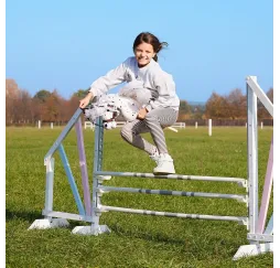 Hobby Horse HOPPIHORSE A3 Leopard – pluszak na kiju Tootiny