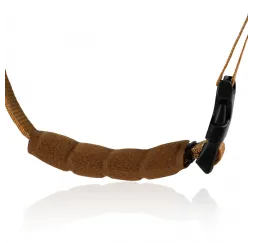 Lionelo Kask Blue Sky – regulowany kask sportowy dla dzieci