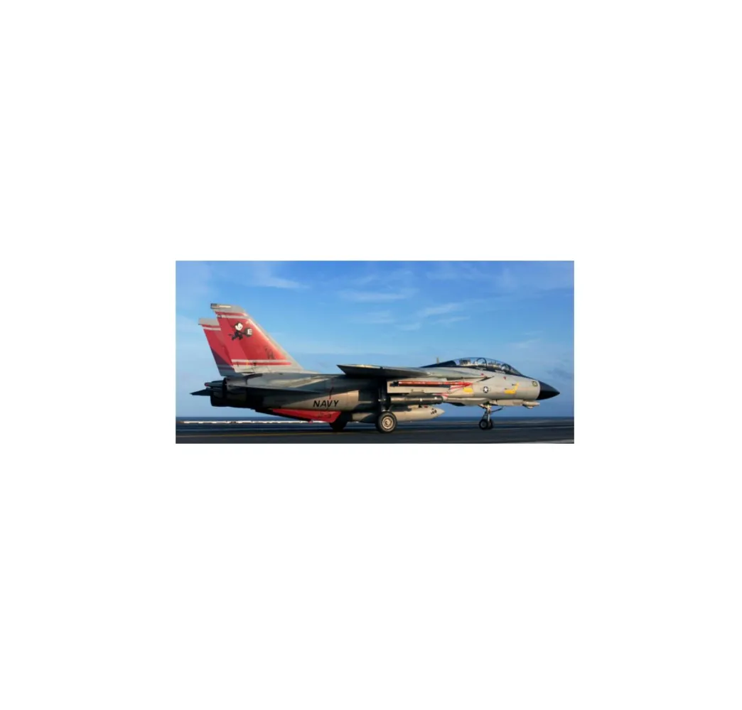 Revell Model plastikowy F-14D Super Tomcat