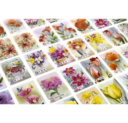 Rebel Gra Pachnący Ogród – gra karciana relaksująca 14+