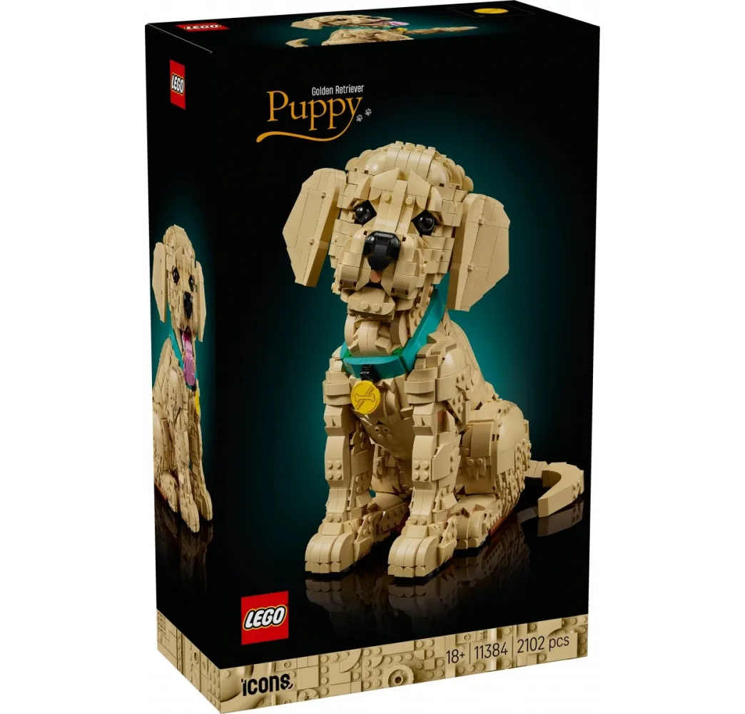 LEGO Icons Szczeniak golden retriever – klocki 18+