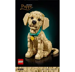 LEGO Icons Szczeniak golden retriever – klocki 18+