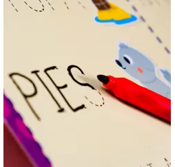 Montessori Pen szkoła pisania 18 tabliczek Lisciani