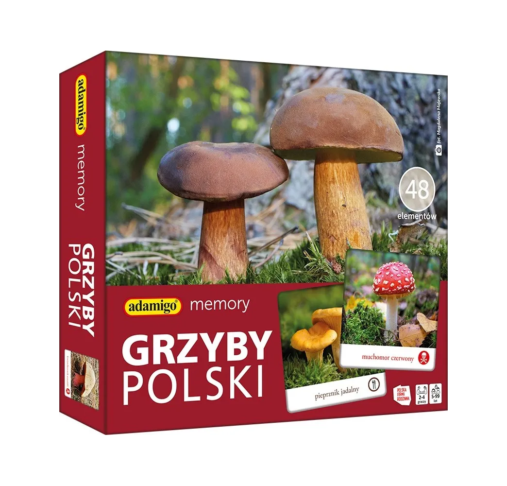 Gra Memory - Grzyby Polski