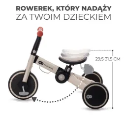 Rowerek trójkołowy 4TRIKE SILVER GREY